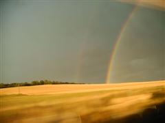 Rainbow country